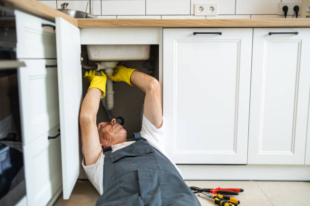 Best Plumbing Services Near Me  in Santa Claus, IN